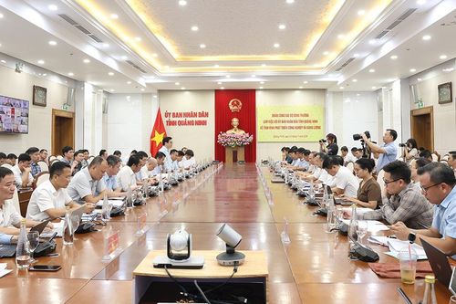 EVNNPT đề xuất giải pháp thúc đẩy tiến độ truyền tải điện tại Quảng Ninh