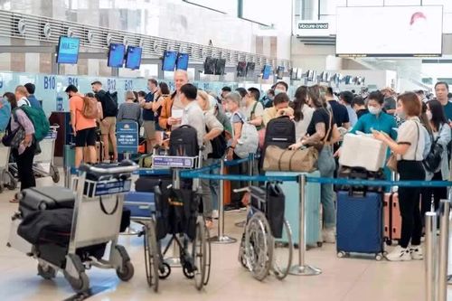 Hàng không Việt tăng trưởng cao dù đối mặt 'bão giá' nhiên liệu xăng, dầu
