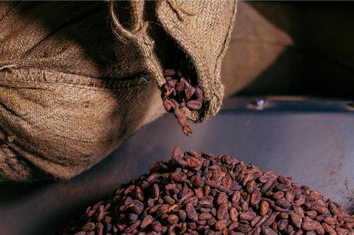 Trung Quốc tăng ảnh hưởng trên thị trường cacao Tây Phi