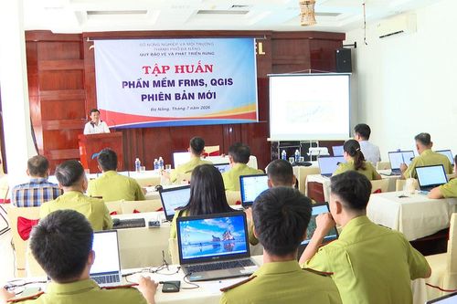 Đẩy mạnh chuyển đổi số trong quản lý môi trường