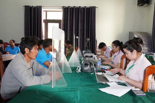 Vốn vay chính sách ưu đãi góp phần giảm nghèo miền núi