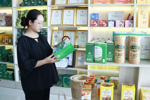 Nâng tầm sản phẩm OCOP vùng cao