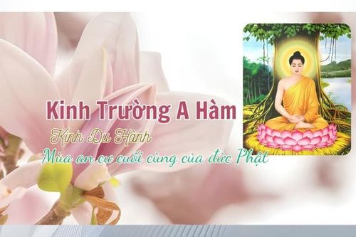 Mùa an cư cuối cùng của đức Phật
