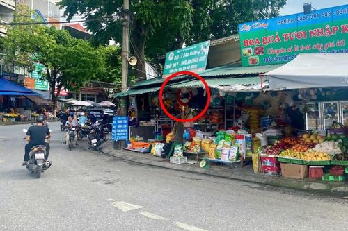 Cần khắc phục ngay tình trạng biển báo, đèn tín hiệu giao thông bị che khuất