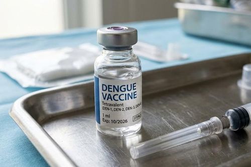Có nên tiêm vaccine phòng bệnh sốt xuất huyết?