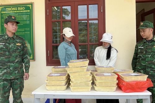 Lào Cai: Ngăn chặn 2 vụ vận chuyển tôm hùm đất lậu, bốc mùi qua biên giới