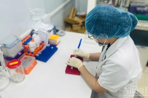 Tạo cơ sở pháp lý vững chắc cho giá trị của kết luận giám định trong xét xử hình sự
