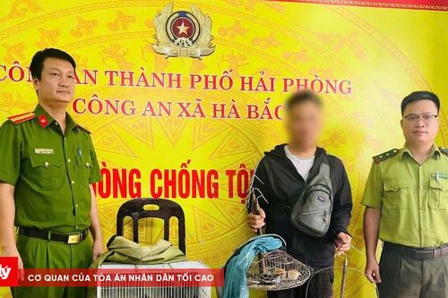 Phát hiện, xử lý đối tượng bẫy chim hoang dã