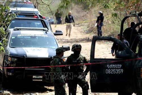 Mexico: Thị trưởng thành phố bị sát hại ngay tại trụ sở