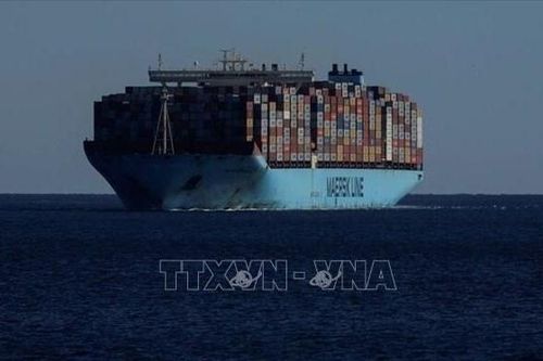 Maersk tạm ngừng hoạt động vận tải biển tại Ukraine