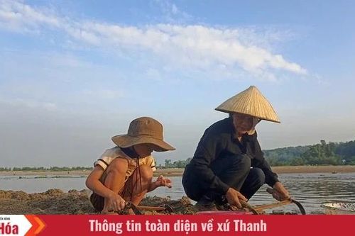 Vị của biển