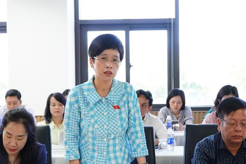 Quốc hội khảo sát việc thi hành Luật Hỗ trợ doanh nghiệp nhỏ và vừa tại Đà Nẵng