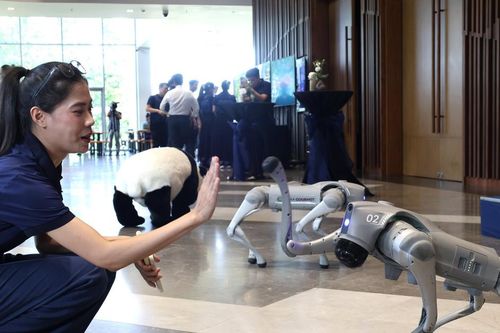 Chuẩn bị trình diễn hệ sinh thái công nghệ cho ngành khách sạn - nhà hàng HORECFEX Vietnam 2026 tại Đà Nẵng