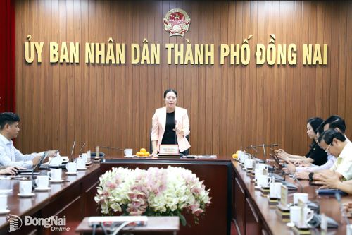 Ngành Văn hóa, Thể thao và Du lịch sơ kết 6 tháng đầu năm 2026