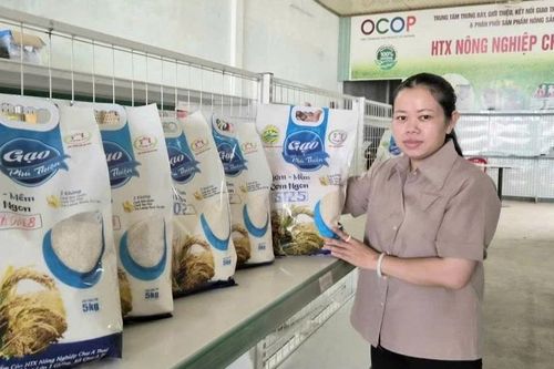 Xây dựng thương hiệu gạo: Nâng cao giá trị, tạo thuận lợi đầu ra