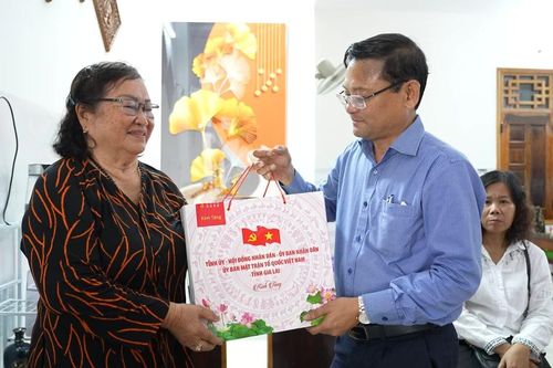 Phó Chủ tịch UBND tỉnh Nguyễn Tự Công Hoàng thăm, tặng quà người có công tiêu biểu