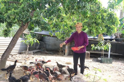 Hội Liên hiệp Phụ nữ xã Diên Thọ: Hỗ trợ sinh kế giúp hội viên vươn lên