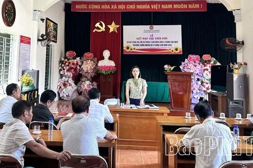 Giữ vững 'nền tảng tư tưởng' sau sắp xếp thôn, tổ dân phố