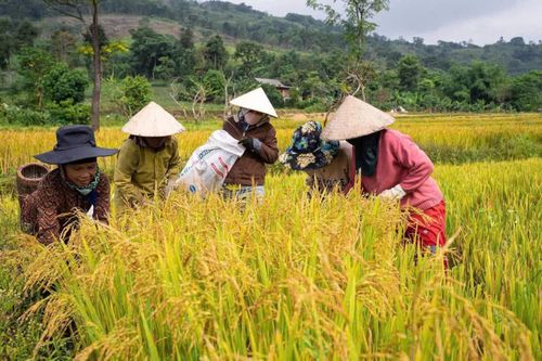 Để người nghèo có cuộc sống ấm no