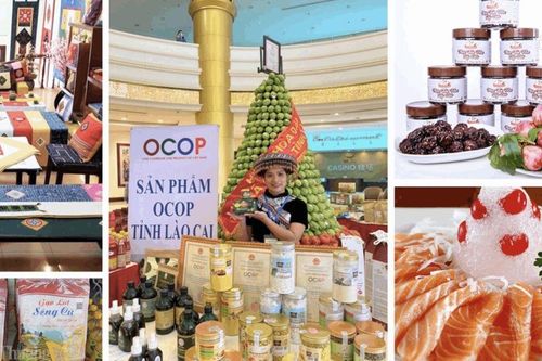 Lào Cai: Gần 60 sản phẩm OCOP được nâng hạng, khẳng định giá trị nông sản bản địa