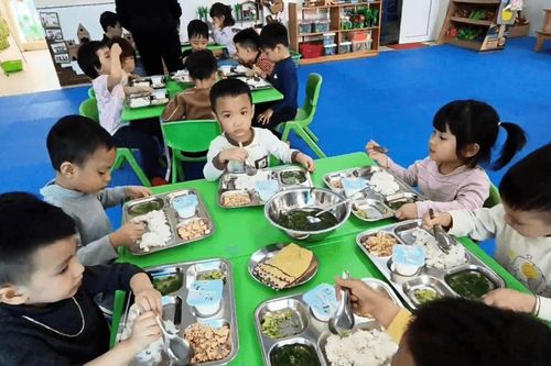 Phụ huynh có thể theo dõi bữa ăn bán trú của con bằng điện thoại từ năm học mới
