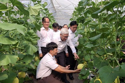 TP. Hồ Chí Minh đặt mục tiêu giá trị sản xuất nông nghiệp đô thị đạt 700 triệu đồng/ha/năm