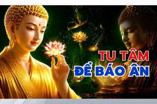 Tu tâm để báo ân là con đường cao quý