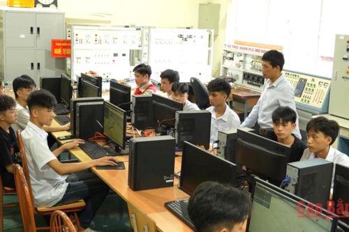 Hơn 56.500 lao động dân tộc thiểu số được tư vấn, hỗ trợ tạo việc làm
