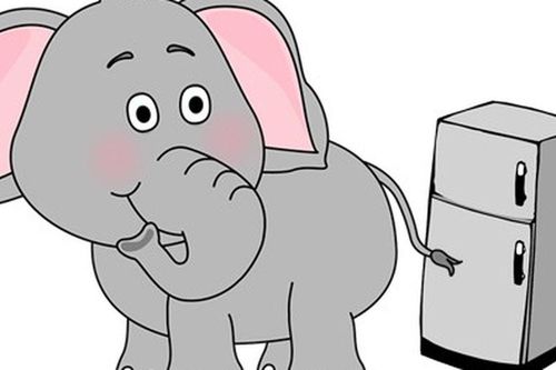 Làm thế nào để bỏ con voi vào tủ lạnh? Rất nhiều người trả lời sai
