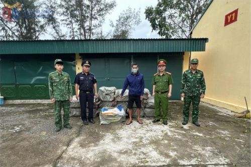 Quảng Ninh: Thu giữ 800kg nầm lợn đông lạnh không rõ nguồn gốc.