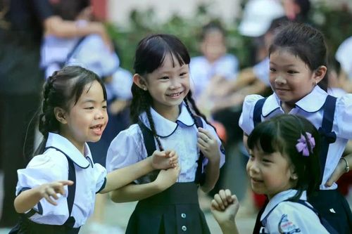 Giảm 11.000 trường, 20.000 cán bộ quản lý theo kế hoạch sắp xếp mạng lưới trường học