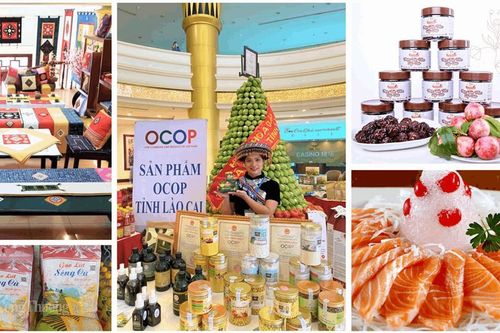 Lào Cai công nhận 58 sản phẩm OCOP đạt 3 và 4 sao đợt 1 năm 2026