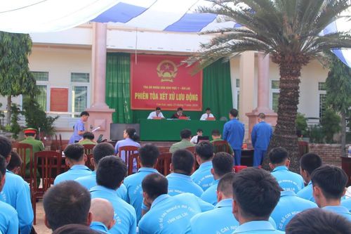 Phiên tòa lưu động - 'bài học pháp luật' cho người cai nghiện
