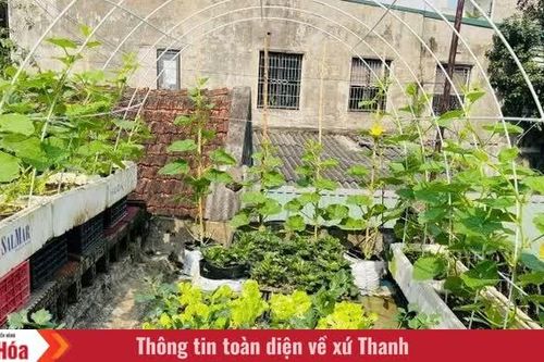 Không gian xanh trên sân thượng
