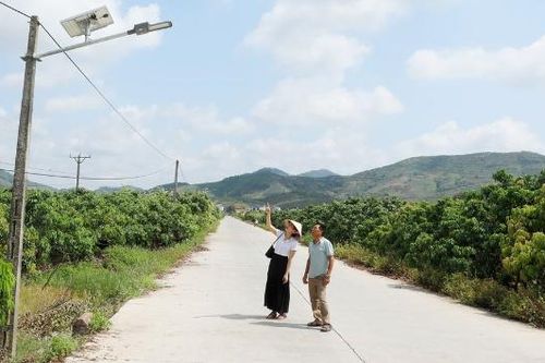 Lắp đặt hệ thống đèn chiếu sáng năng lượng mặt trời tại xã Lục Ngạn