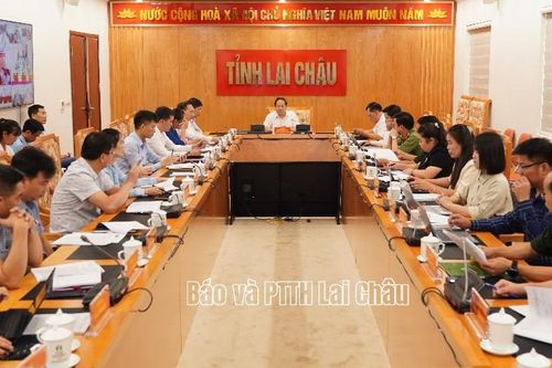 Hội nghị trực tuyến của Ban Chỉ đạo tỉnh về khám sức khỏe định kỳ hoặc khám sàng lọc miễn phí cho người dân