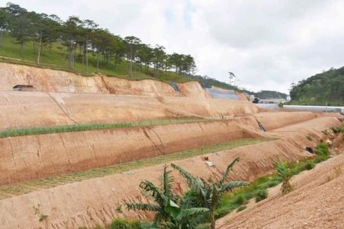 Xử lý nghiêm trách nhiệm cá nhân, tập thể trong việc buông lỏng quản lý đất lâm nghiệp