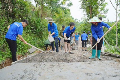 Tri thức trẻ trong "Mùa hè xanh”