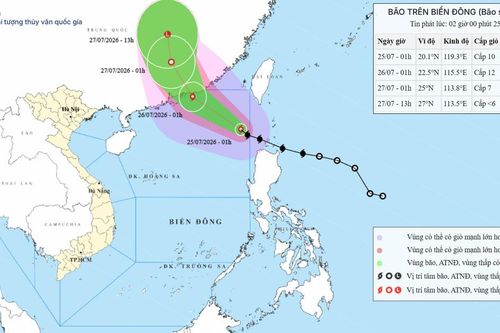 Dự báo bão số 02 trên Biển Đông ngày 25/07/2026: Bão tăng cấp và hướng về Quảng Đông