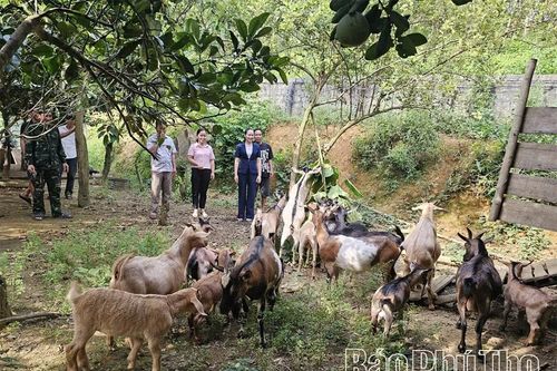 Điểm tựa giúp nông dân giảm nghèo bền vững