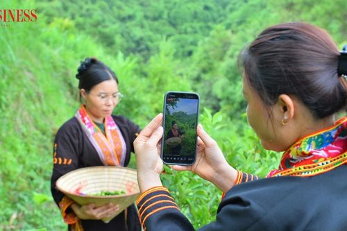 HTX Mẫu Sơn đưa chanh rừng lên nền tảng số