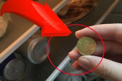 Tại sao nhiều gia đình thích đặt một đồng xu trong tủ lạnh?