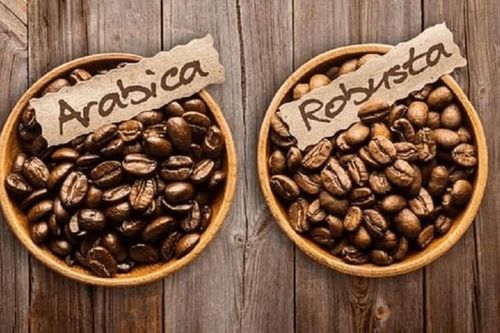 Giá cà phê hôm nay 25/7: Cà phê Arabica, Robusta hồi phục