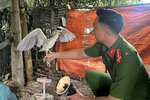 Kiểm tra đột xuất nhà dân, công an phát hiện nuôi, nhốt trái phép động vật hoang dã
