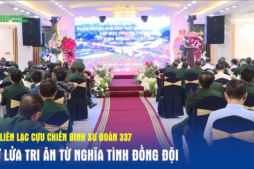 Ban liên lạc Cựu chiến binh Sư đoàn 337: Giữ lửa tri ân từ nghĩa tình đồng đội