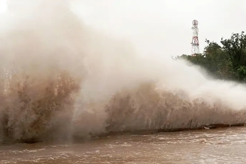 Tin cuối cùng về bão số 2