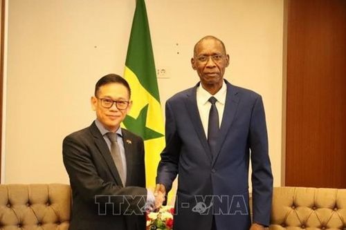 Senegal mong muốn trở thành cửa ngõ để Việt Nam tiếp cận thị trường Tây Phi