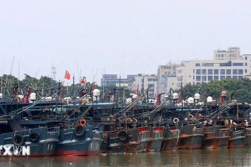 Trung Quốc ban hành cảnh báo cam khi bão Noul đổ bộ