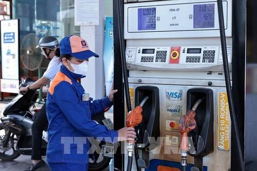 Petrolimex lý giải về việc điều tiết lượng bán dầu điêzen với khách hàng