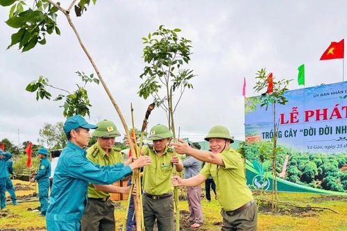 Xã Gào trồng 400 cây xanh hưởng ứng 'Tết trồng cây đời đời nhớ ơn Bác Hồ'